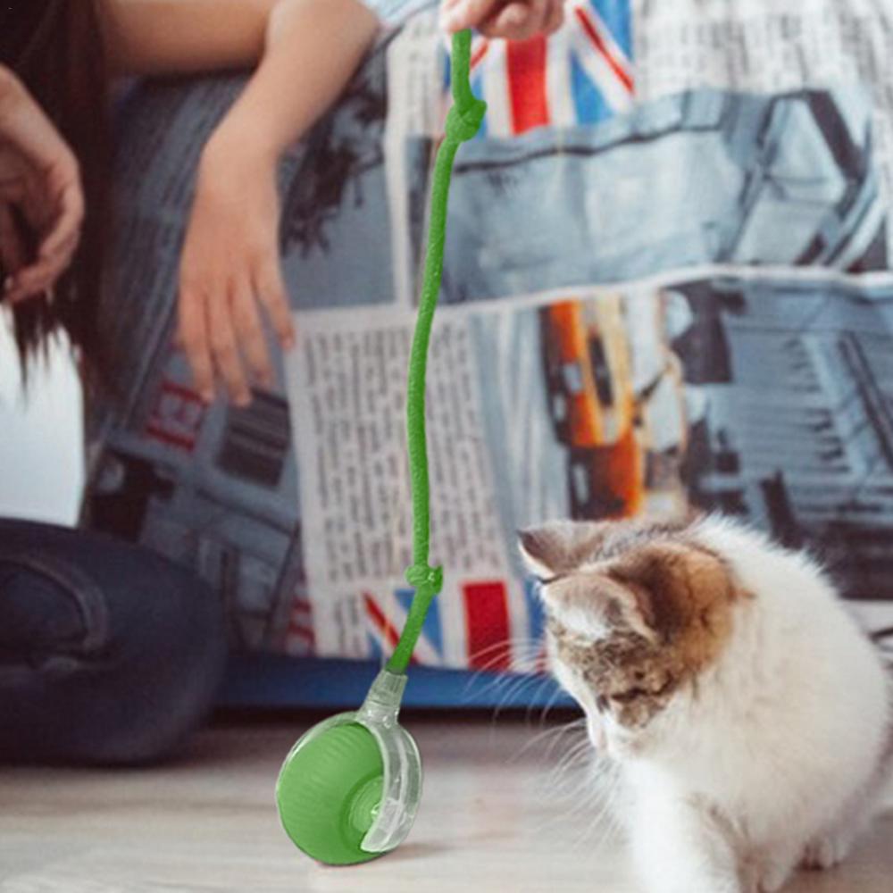 Pelota Rodante para Gatos