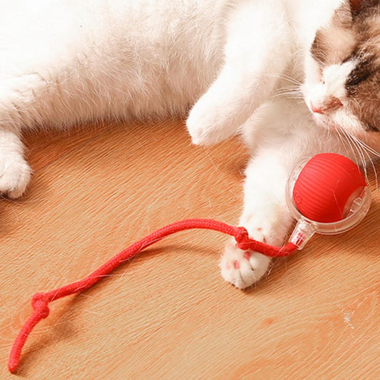 Pelota Rodante para Mascotas