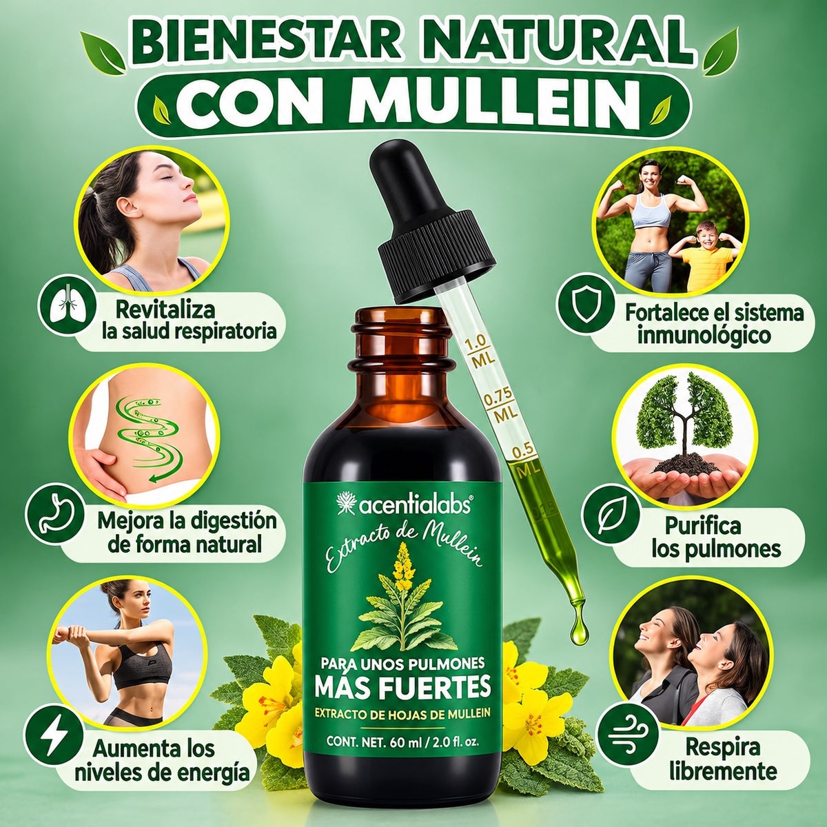 Gotas de gordolobo para los pulmones