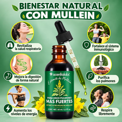Gotas de gordolobo para los pulmones